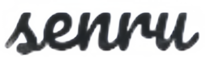 API Logo